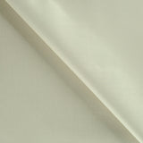 Dazzling Beige